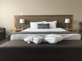 迷你吧、客房内保险箱、熨斗/熨衣板、折叠床/加床（额外收费）