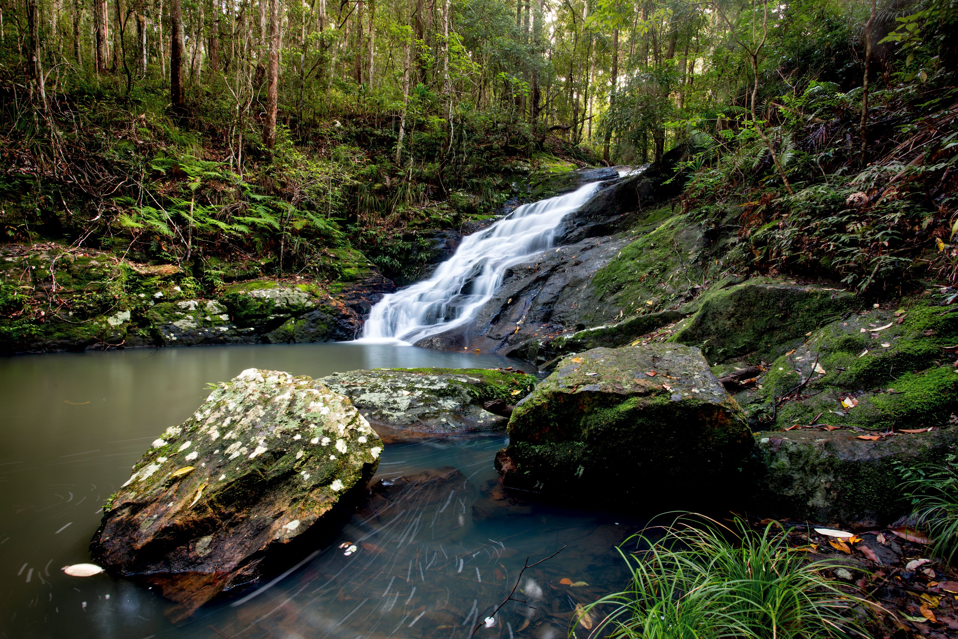 Una cascada en un área boscosa con rocas cubiertas de musgo y una poza tranquila en la base.