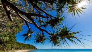 Una playa con agua azul cristalina, costa rocosa y palmeras.