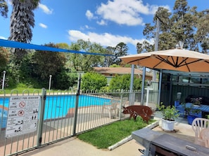 Seasonal outdoor pool - Bega Southtown Motor Inn (Bega)