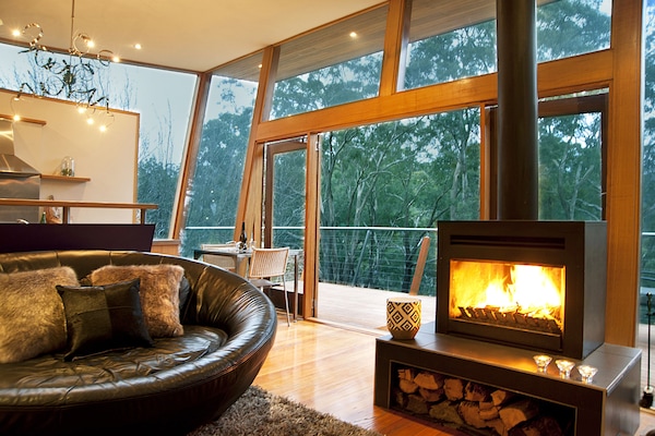 Plasma TV, fireplace, DVD player
