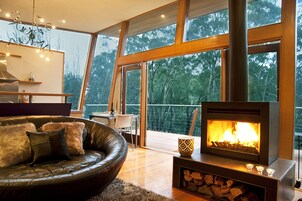 Plasma TV, fireplace, DVD player