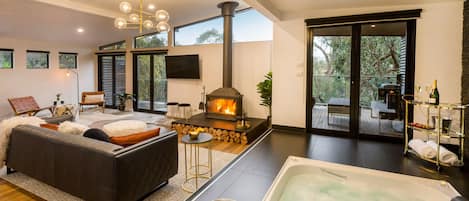 Plasma TV, fireplace, DVD player