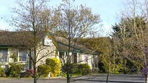 A residential street with houses, trees, and a dog. - Gisborne Motel (Gisborne)