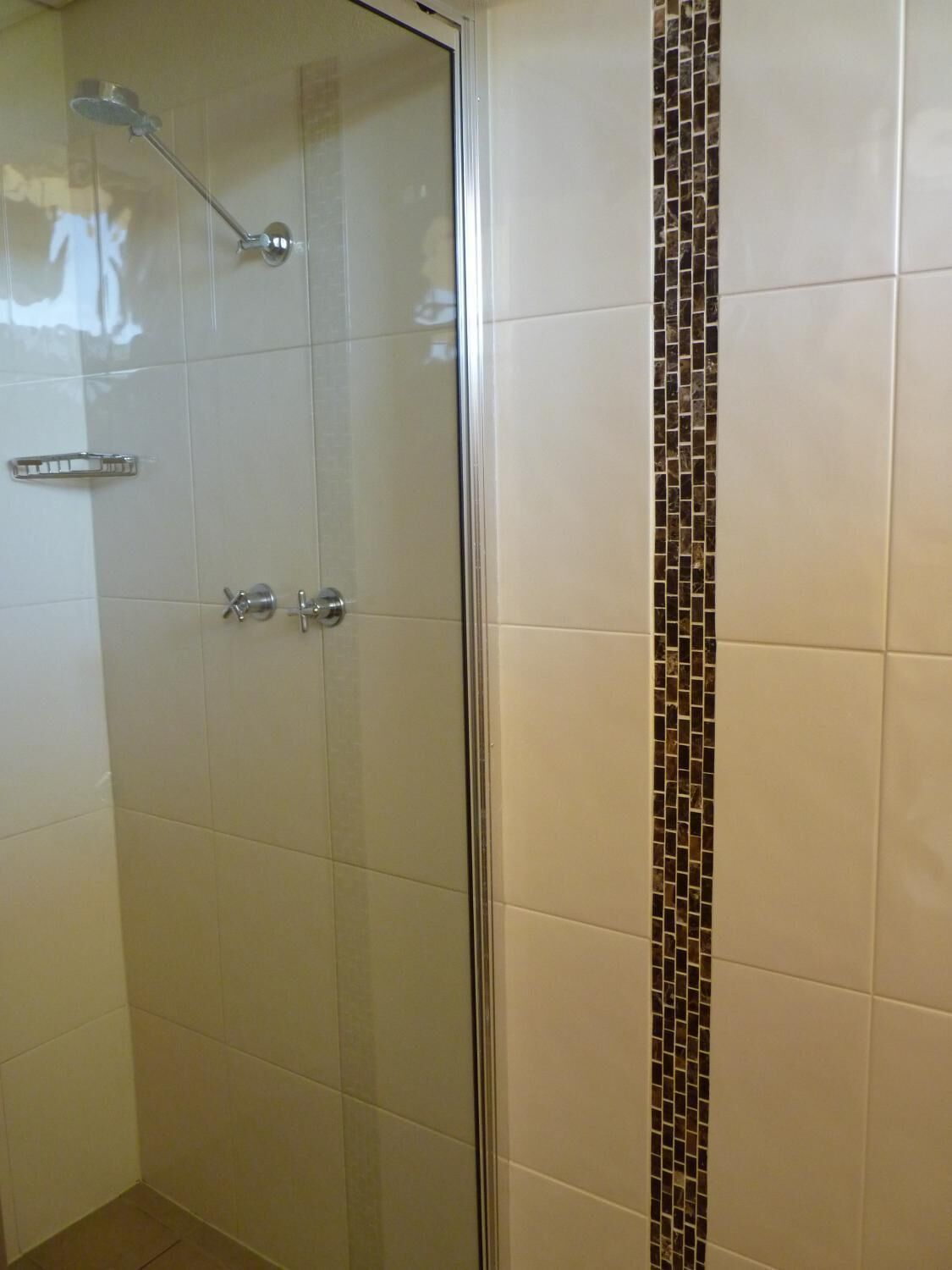 Una ducha con cerramiento de vidrio, pared con azulejos y un detalle decorativo en los azulejos.