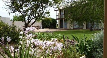 Área da propriedade