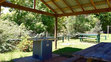 BBQ/picnic area