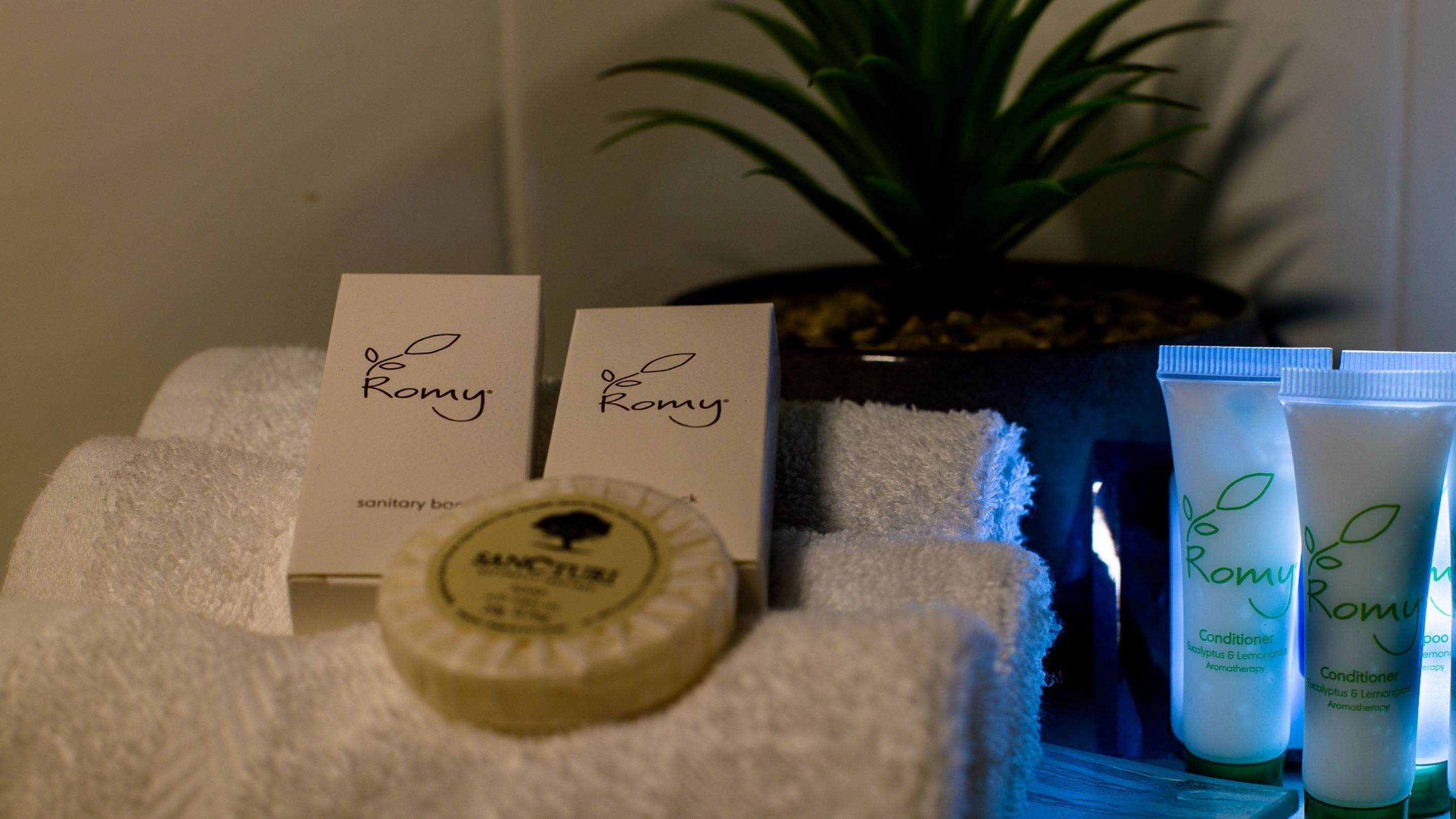 Un baño con artículos de aseo, incluyendo una botella de champú, una botella de acondicionador y dos cajas etiquetadas 'Romy'.