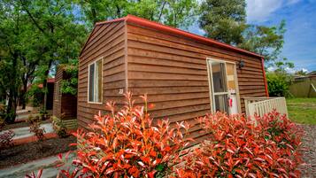 Basic Cabin | View from room