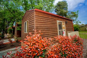 Basic Cabin | View from room