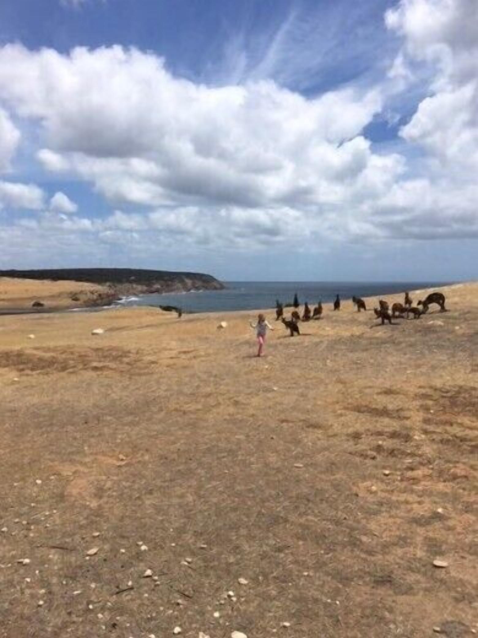 Una playa con cielo despejado, algunas nubes y una vista distante del mar.