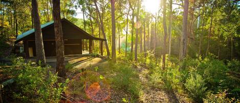 Blick auf den Garten