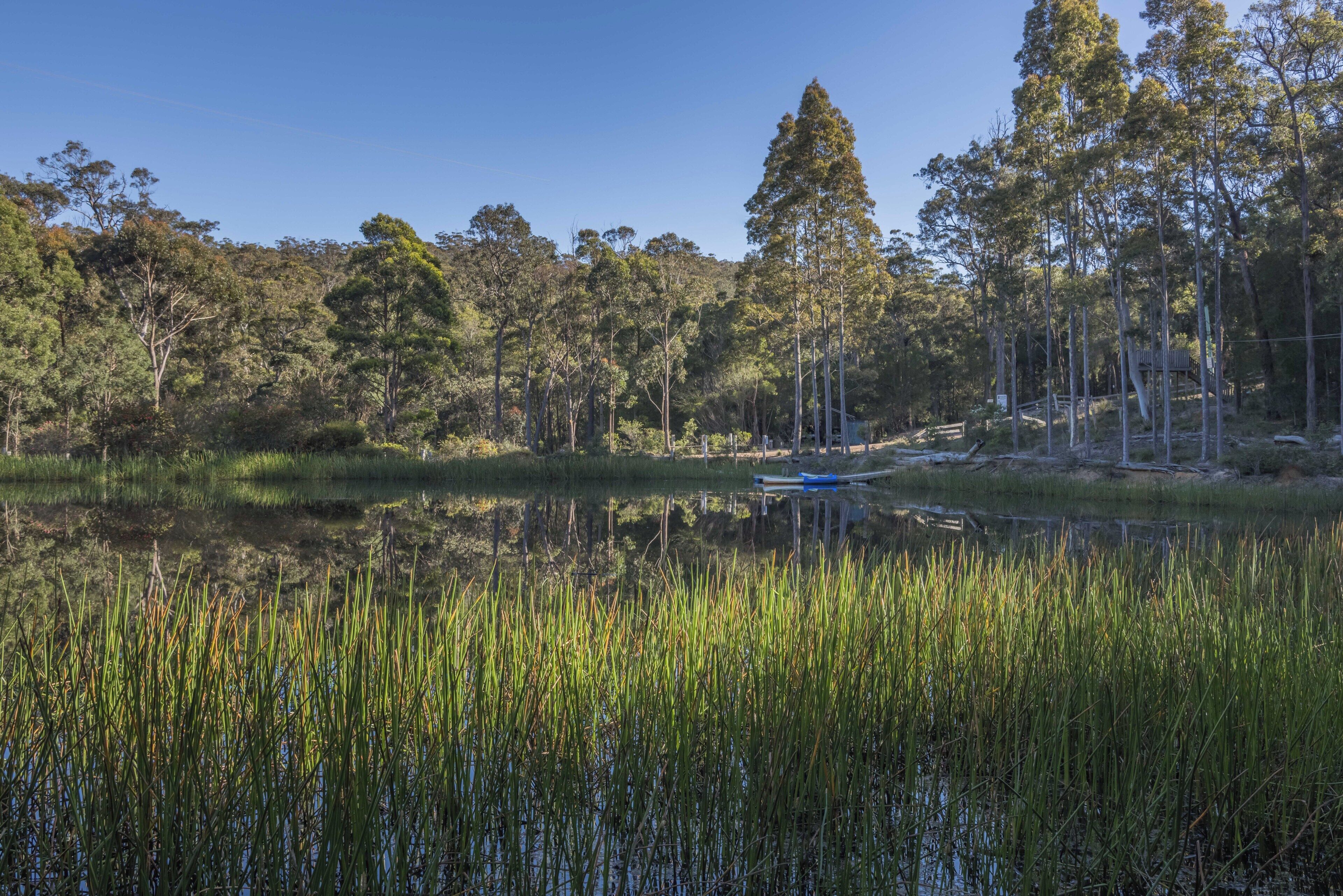 A natural landscape with a body of water, tall trees, and a small structure in the distance.