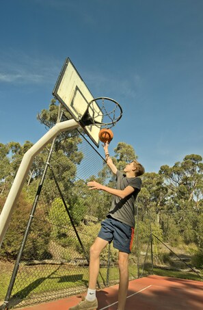 Basketplan