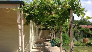 A covered outdoor area with a concrete pathway, a pergola with climbing plants, and a fence in the background. - Tin House at Tanunda (Tanunda)