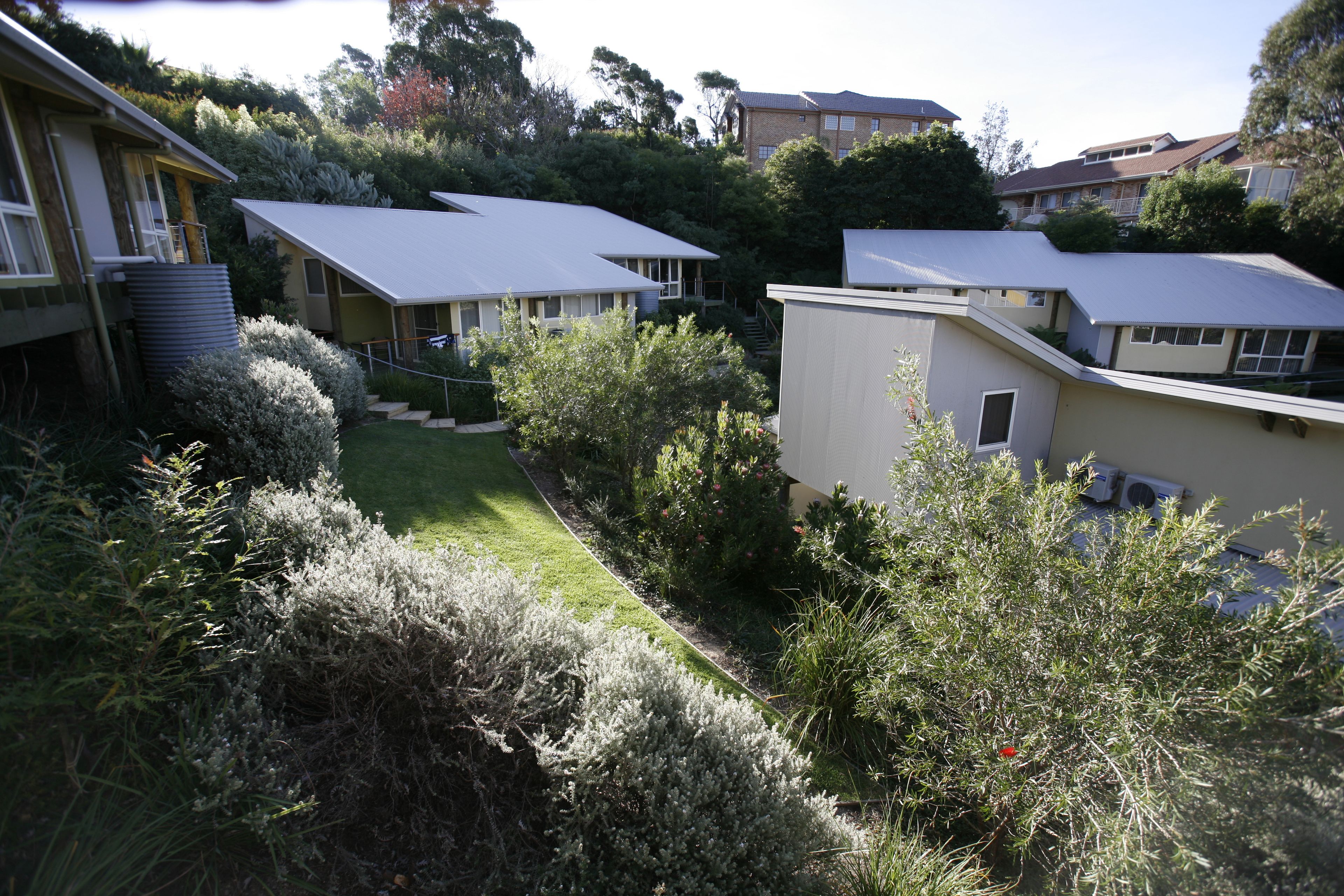 A residential area with multiple houses, a well-maintained lawn, and a variety of shrubs and trees.