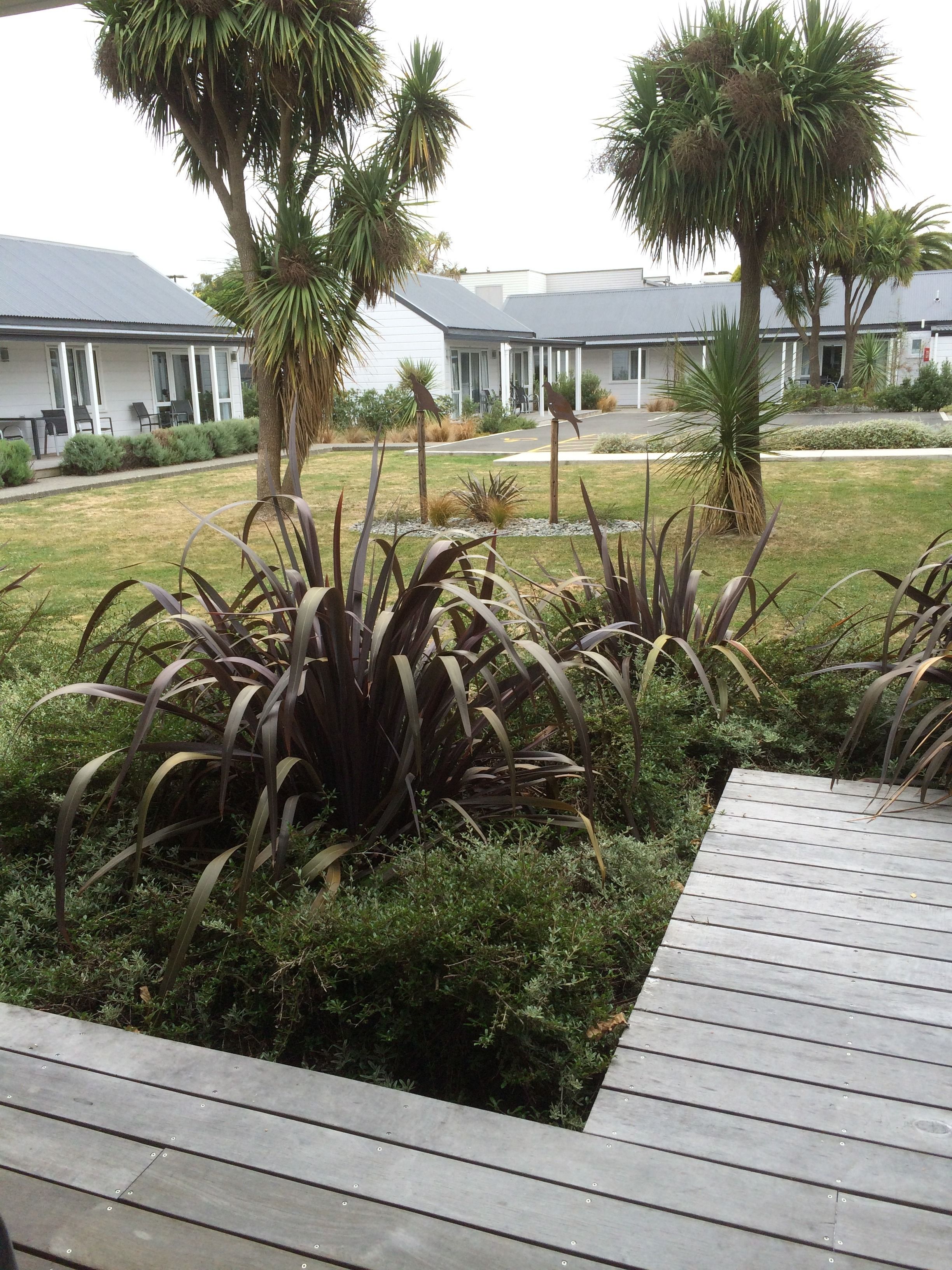 A landscaped garden with a wooden deck, palm trees, and a building with a white facade in the background.