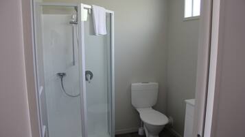 A bathroom with a glass-enclosed shower, a white toilet, and a small window.