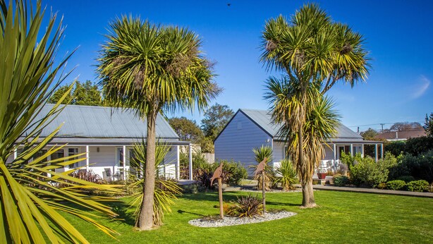 A residential area with two houses, a well-maintained lawn, and several palm trees. - Greyfriars Motel (Greytown)