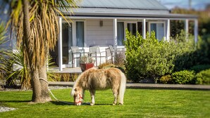 A house with a covered porch and a lawn. - Greyfriars Motel (Greytown)