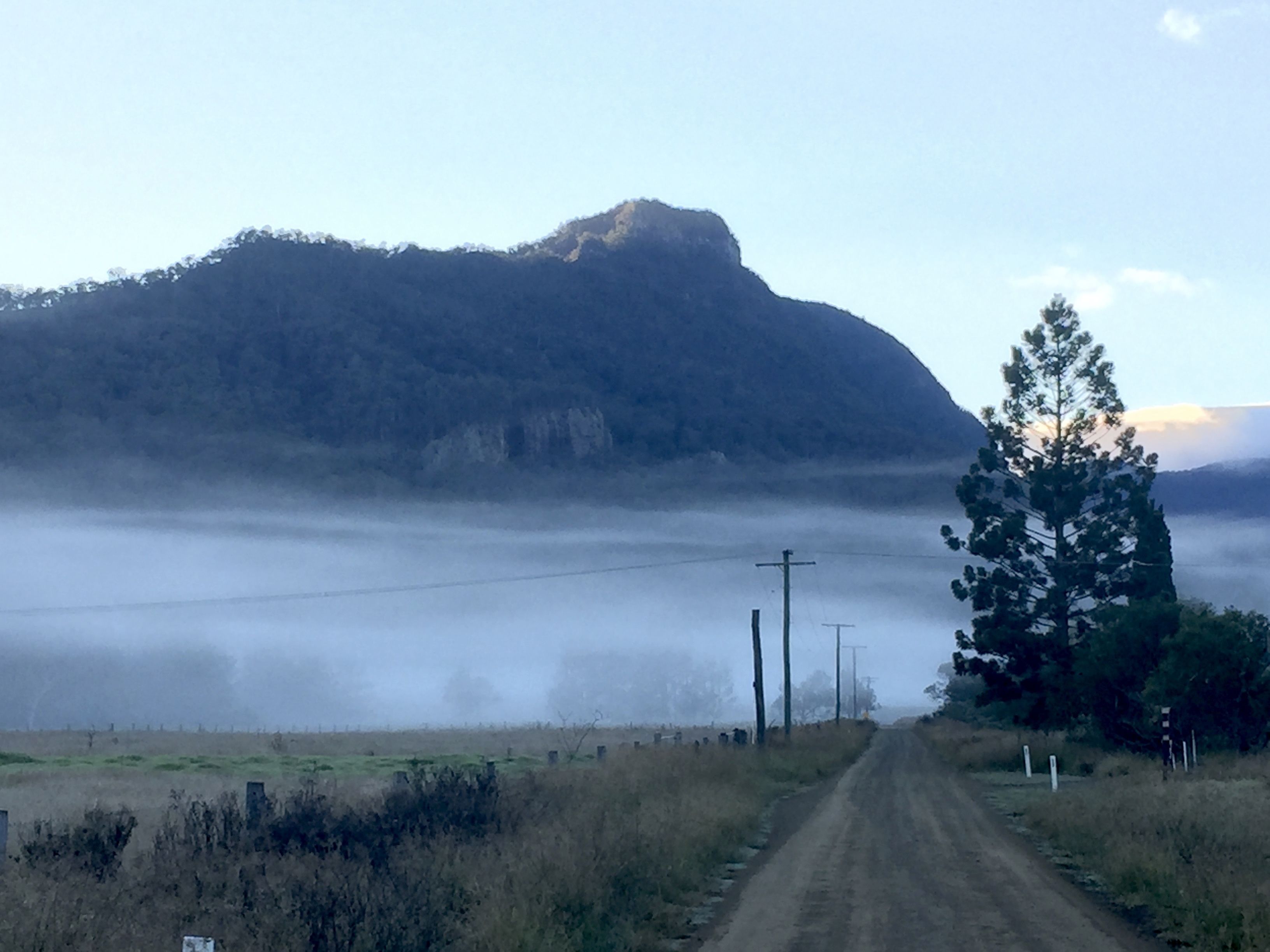 Un camino rural que lleva a una montaña con zona boscosa y un árbol solitario a la derecha.