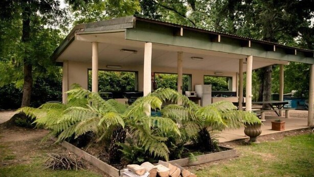 A covered pavilion with a simple, functional design, surrounded by lush greenery and a stack of firewood. - Mt Buffalo Caravan Park (Porepunkah)