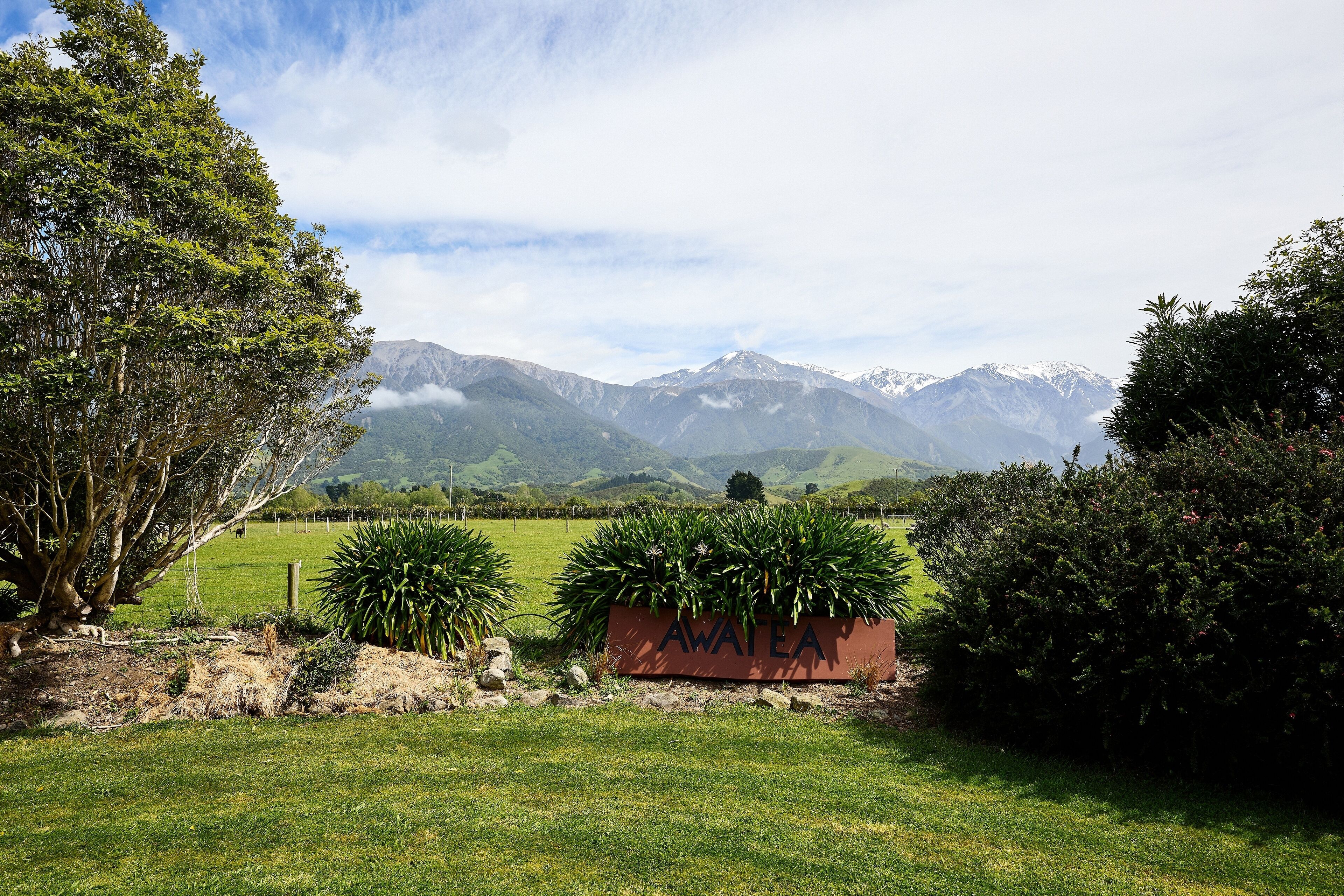 Land view from property