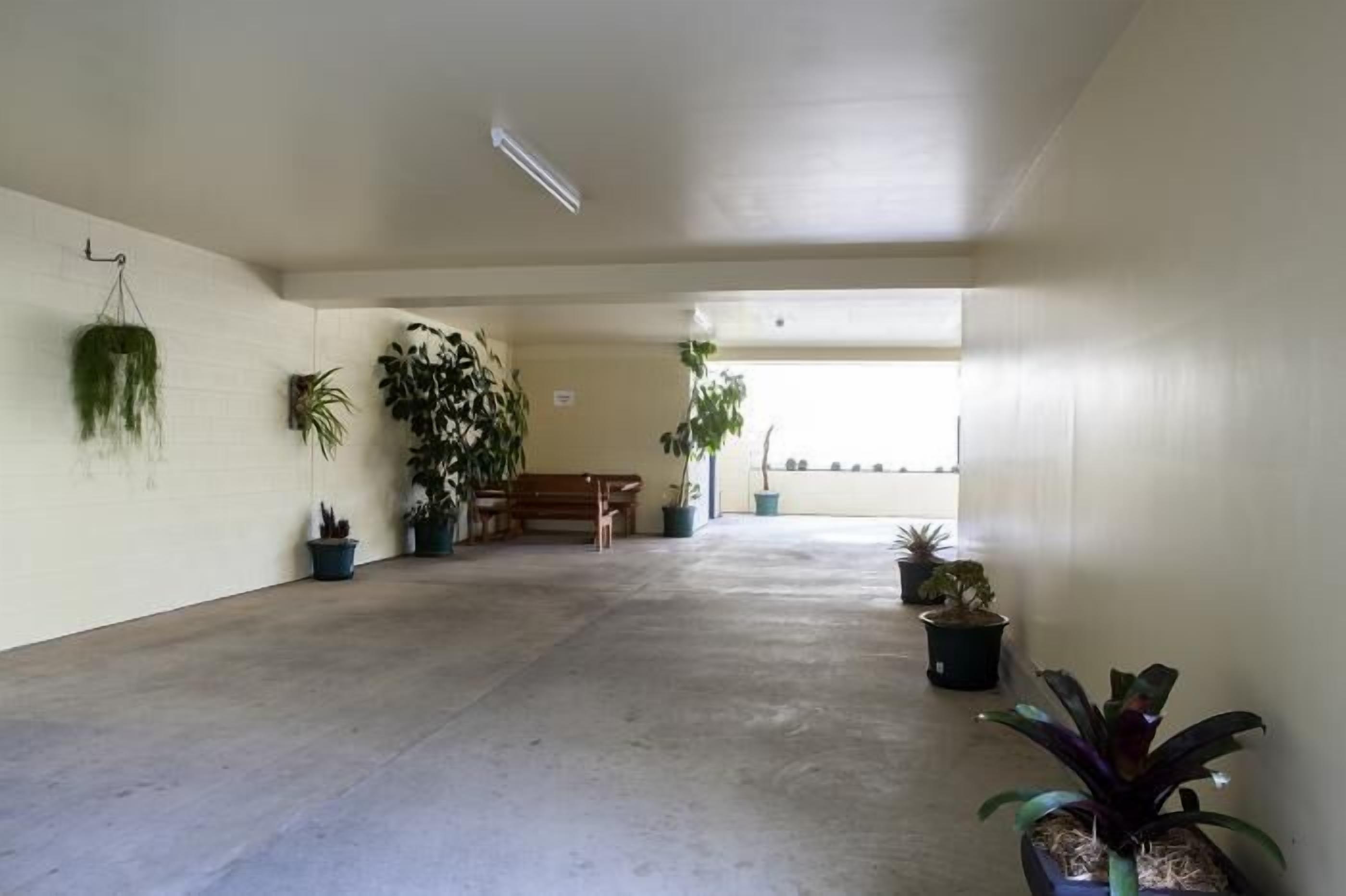 Un espacio interior amplio con suelo de concreto, un banco de madera y varias plantas en macetas a lo largo de las paredes.