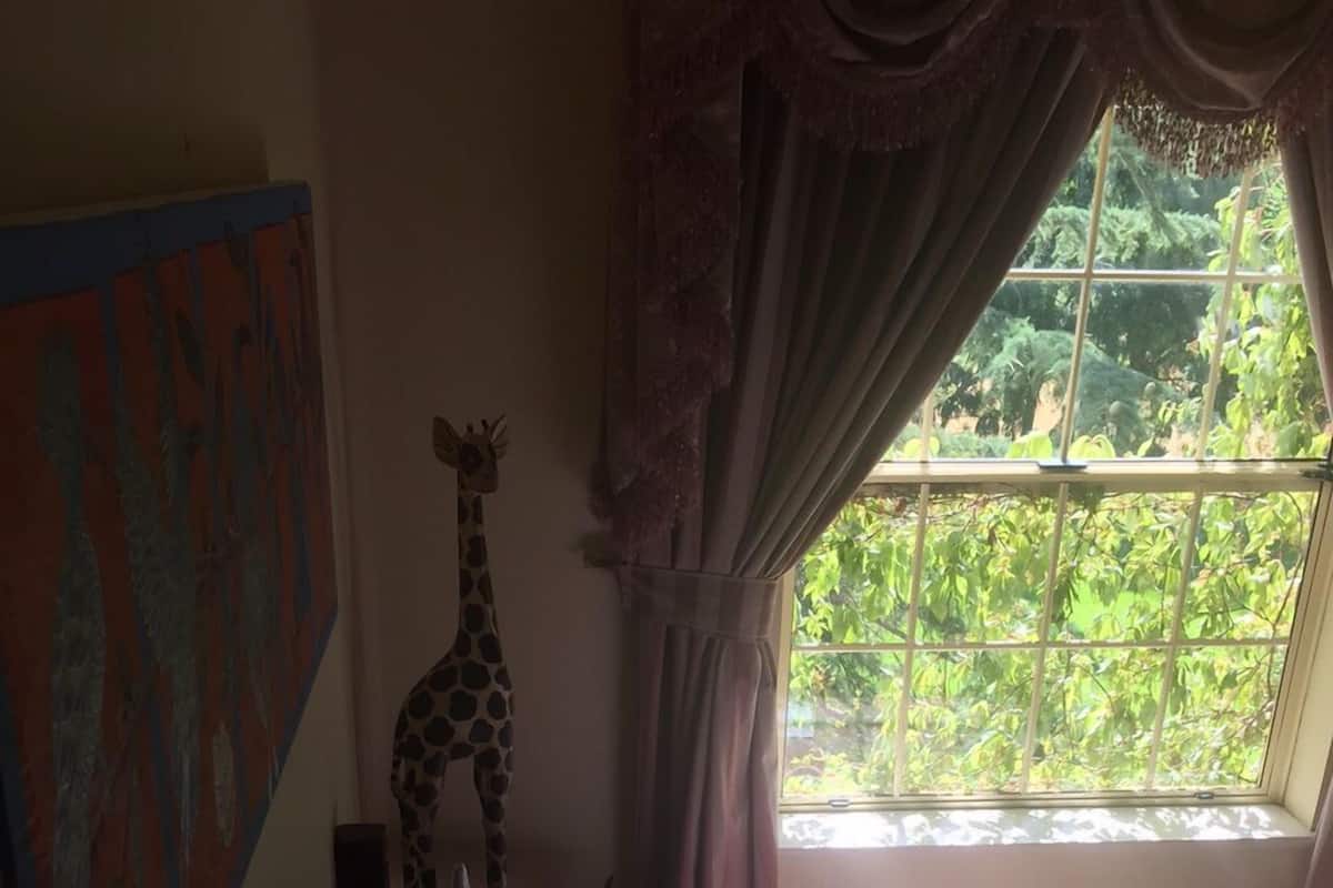 Safari Suite (Shared Bathroom) | View from room
