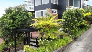 Front of property - Kohi Beach Bed & Breakfast (Auckland)