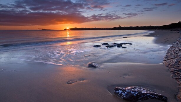 Beach nearby - Kohi Beach Bed & Breakfast (Auckland)