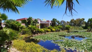 Property grounds - El Sierra Motel (Barooga)