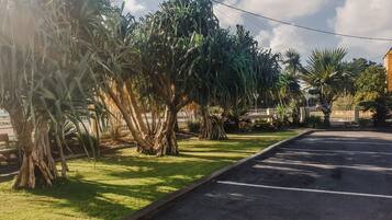 A parking lot with a row of palm trees and a building in the background.