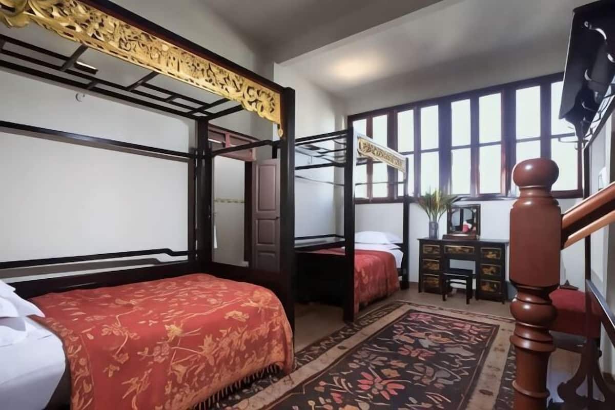 Une chambre avec un lit superposé, un bureau, une chaise, une plante et une fenêtre.