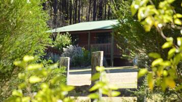 Escape to a secluded forest retreat with a rustic lodge nestled among lush vegetation.