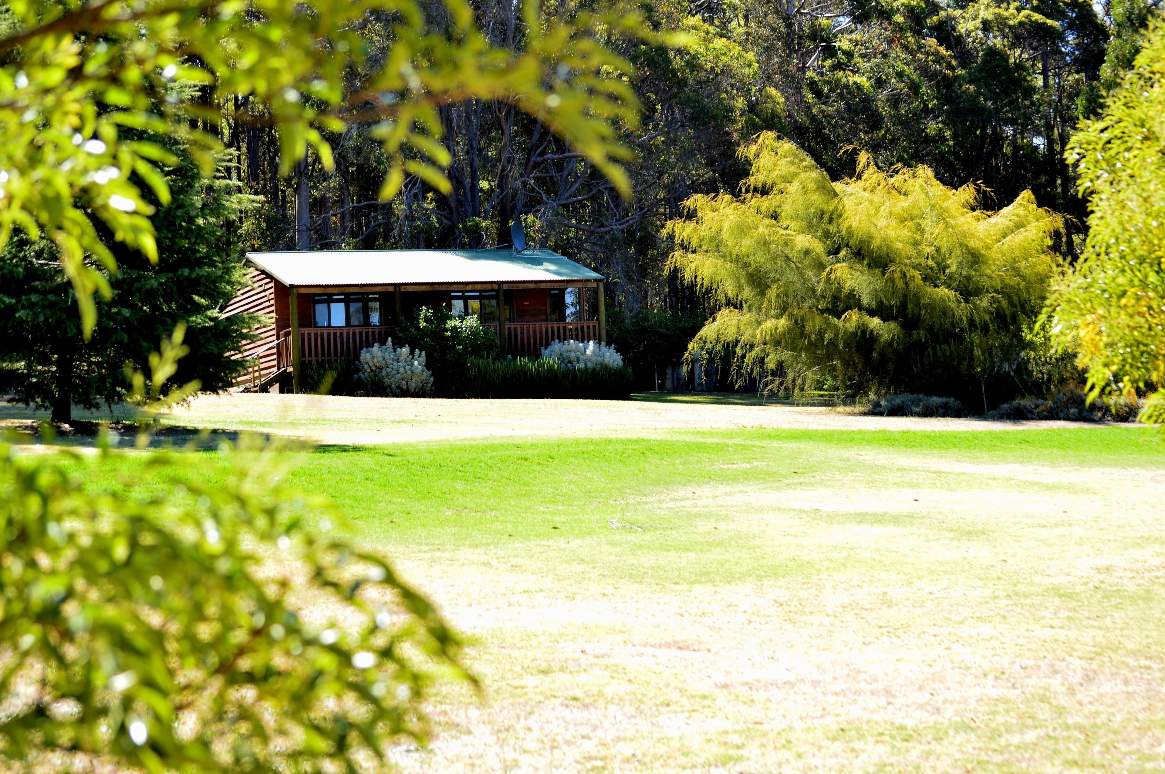 Garden view