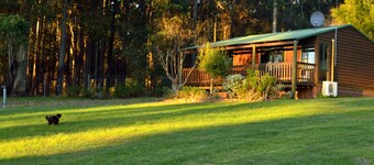 Diamond Forest Farm Stay