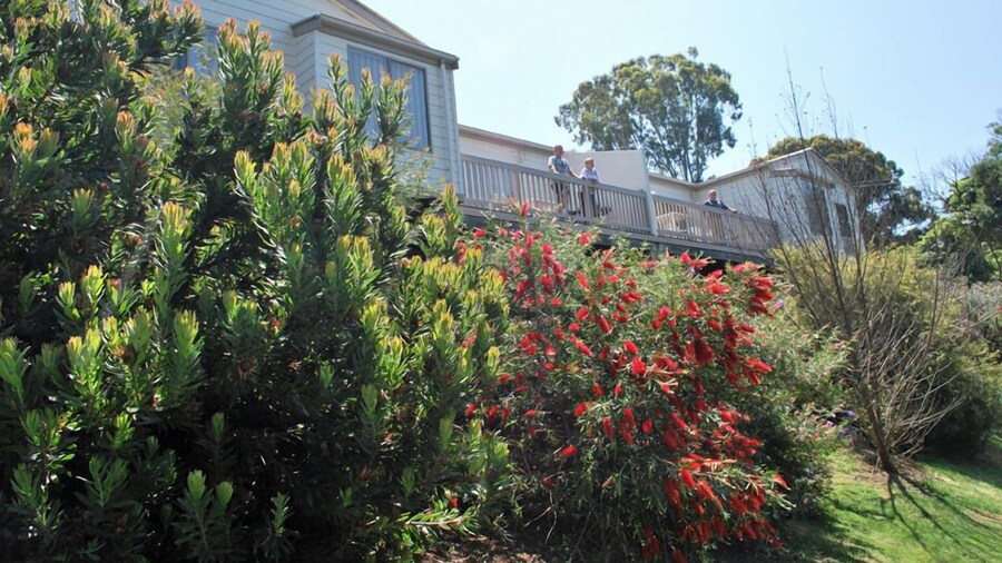 Lookout Holiday Units