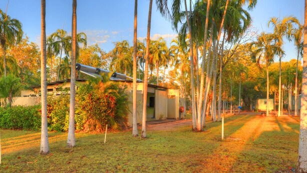 A tropical resort with palm trees, a pool, and a building with a sloped roof. - Batchelor Holiday Park (Batchelor)