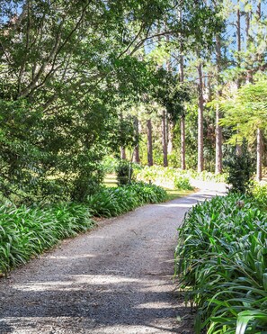 Front of property - Montville Country Cabins (Montville)