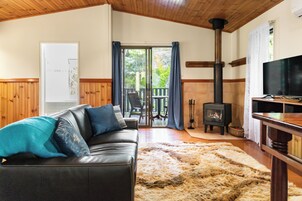 Flat-screen TV, iPod dock