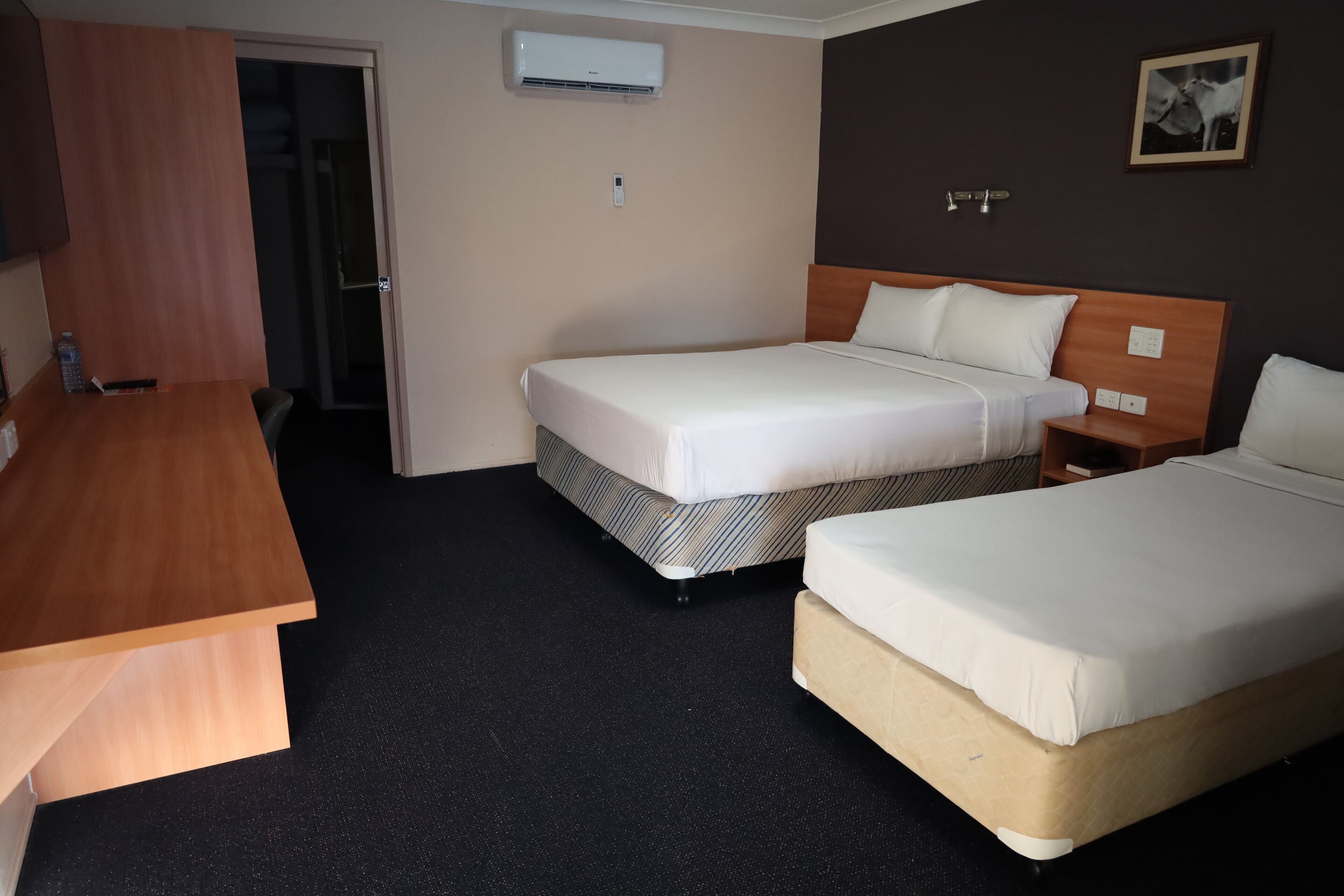Deluxe Room, Non Smoking (Twin Room) | Desk, iron/ironing board, free WiFi