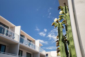 Exterior - Capri On Pilot Bay (Tauranga)