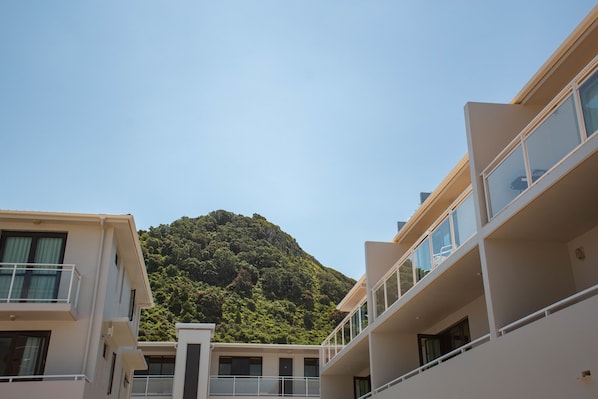 Exterior - Capri On Pilot Bay (Tauranga)