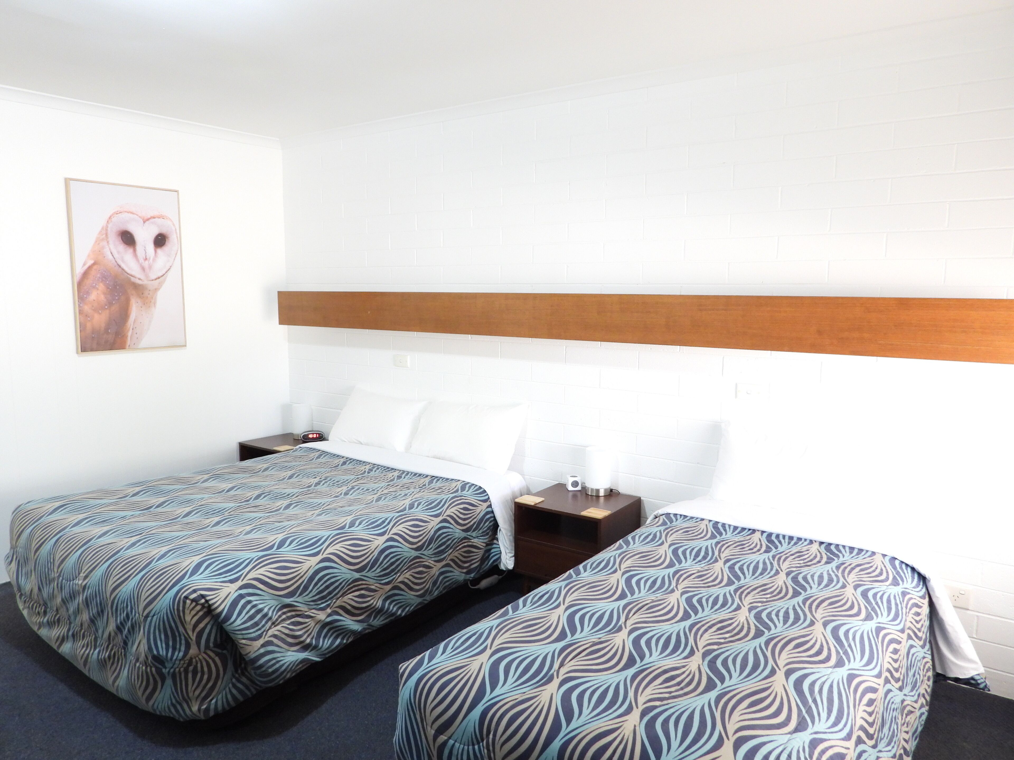 Regadera, amenidades de baño gratuitas, secadora de cabello, toallas 