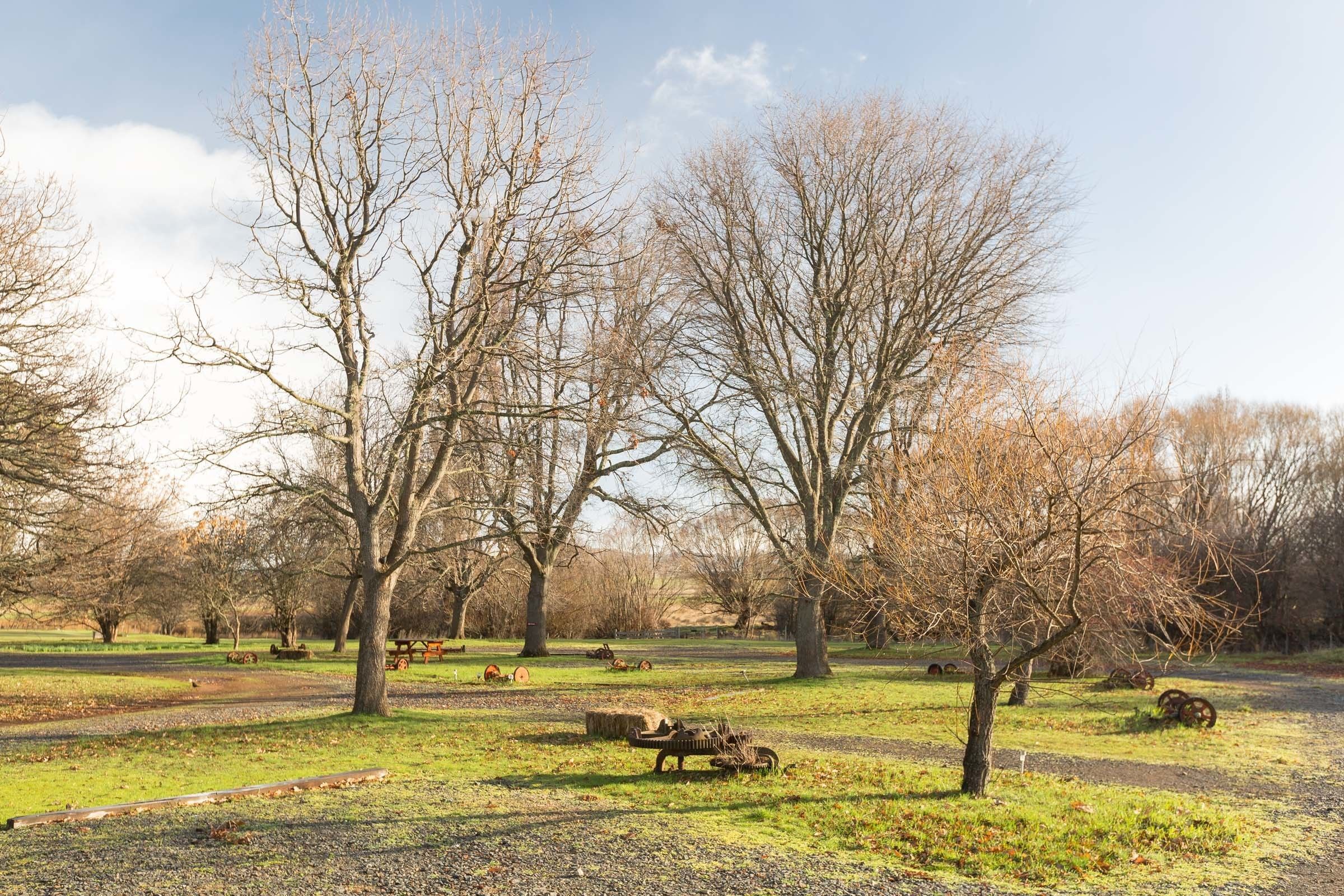 Un parque con árboles, un sendero de grava y una banca.