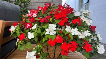 A potted plant with red and white flowers on a wooden table.