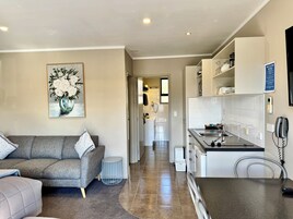 43-inch LED TV with premium TV channels, TV, DVD player