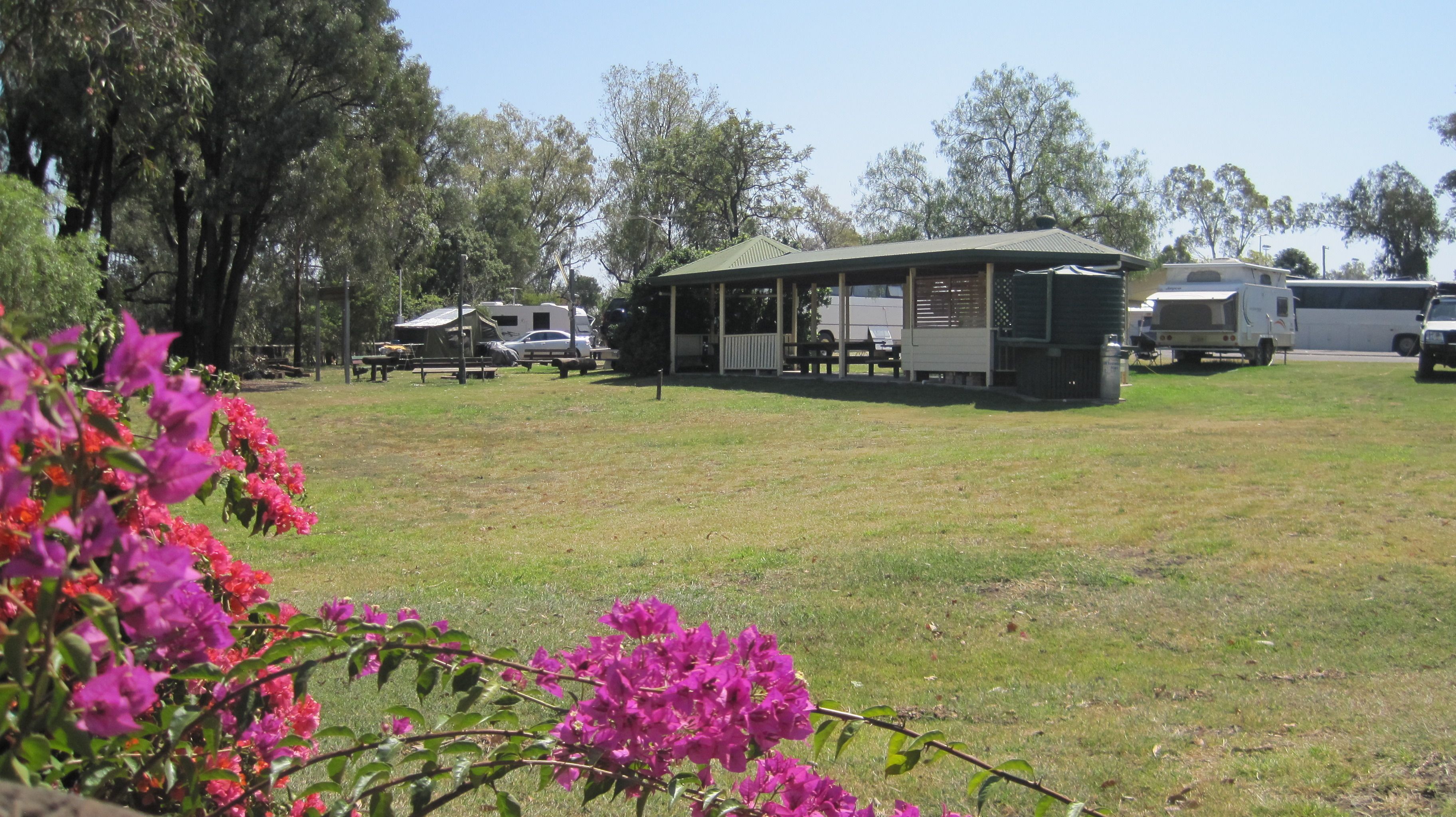 Un camping con vehículos recreativos, una zona de picnic techada y abundante vegetación.