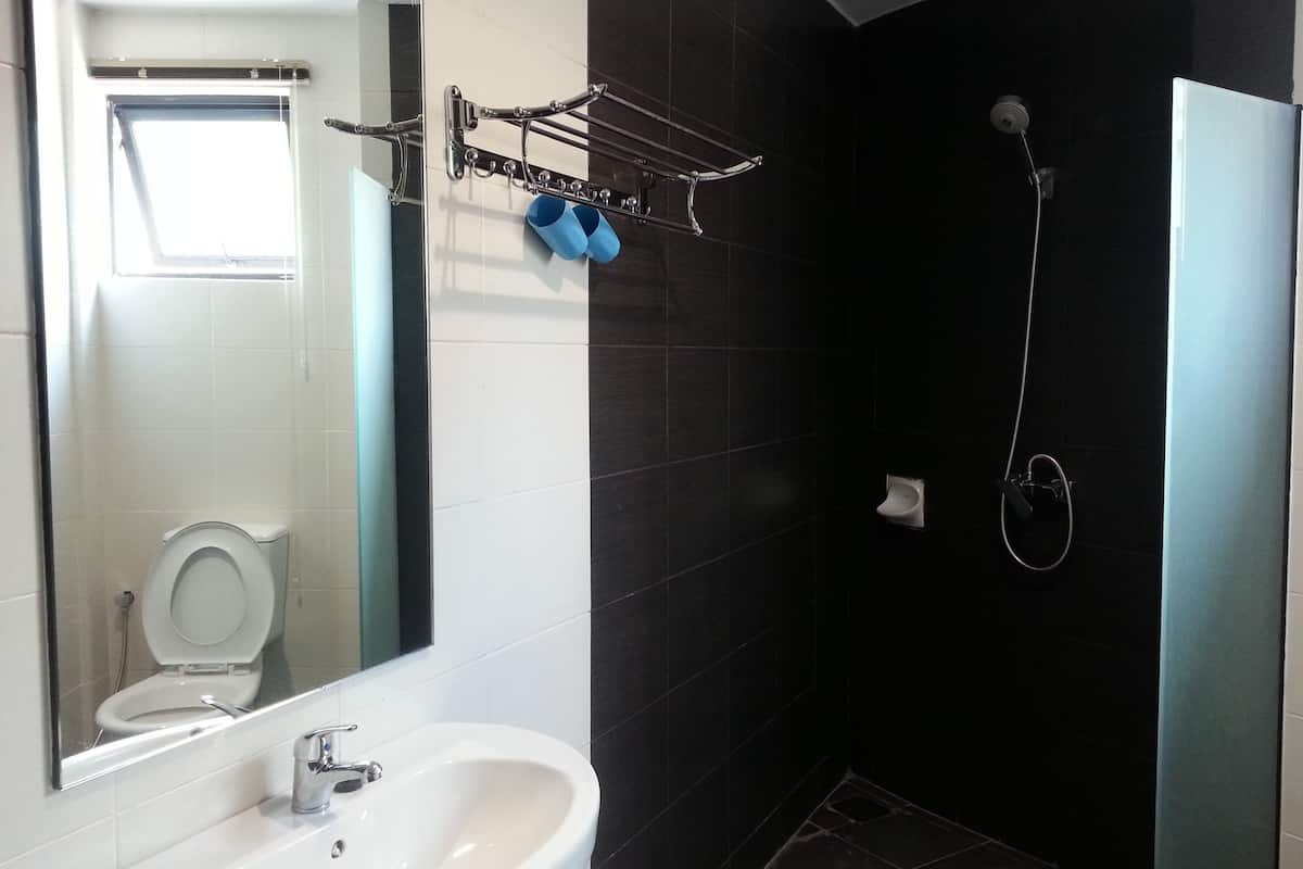 free toiletries, hair dryer, bidet, towels